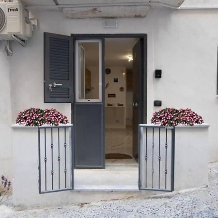 Concordia House Centro Storico Daire Napoli Dış mekan fotoğraf